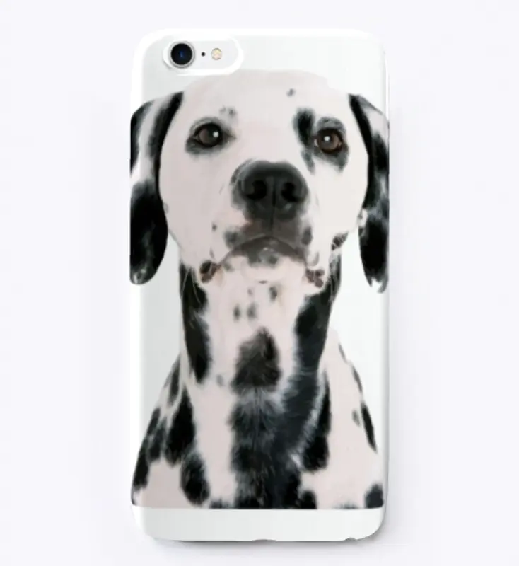 Dalmatian dog