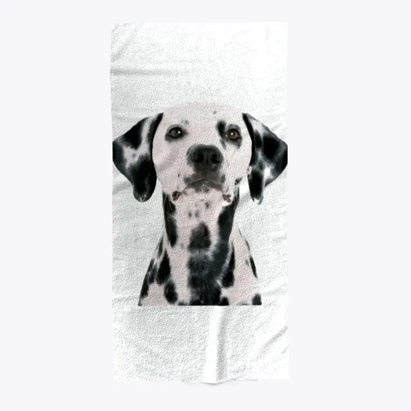 Dalmatian dog