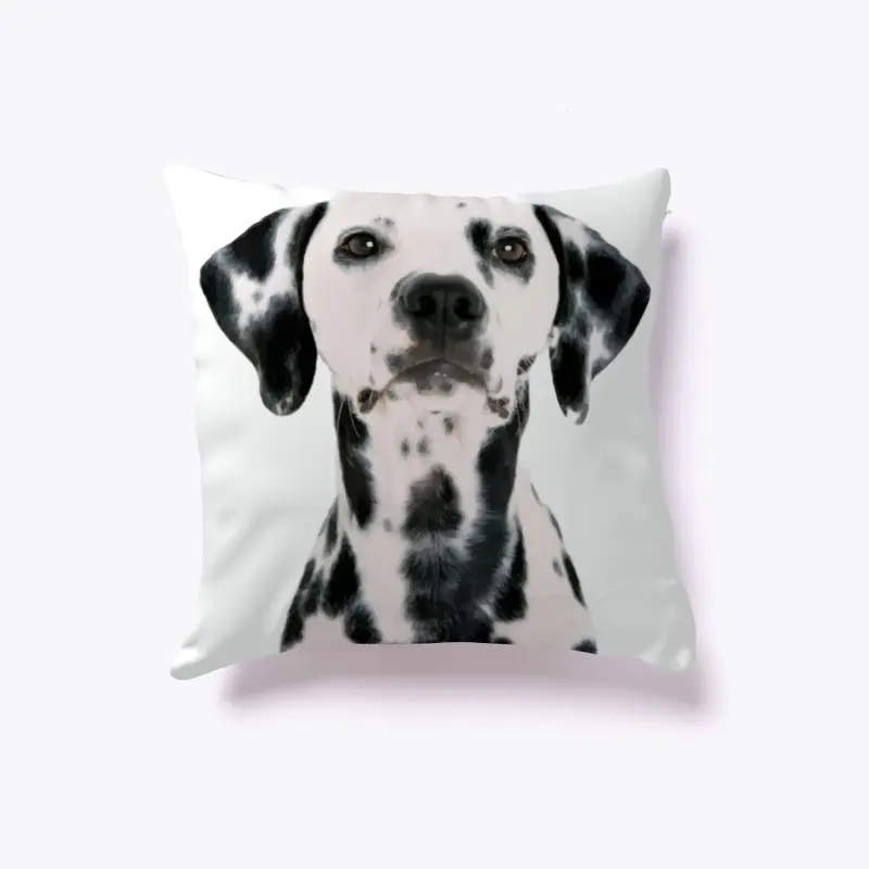 Dalmatian dog