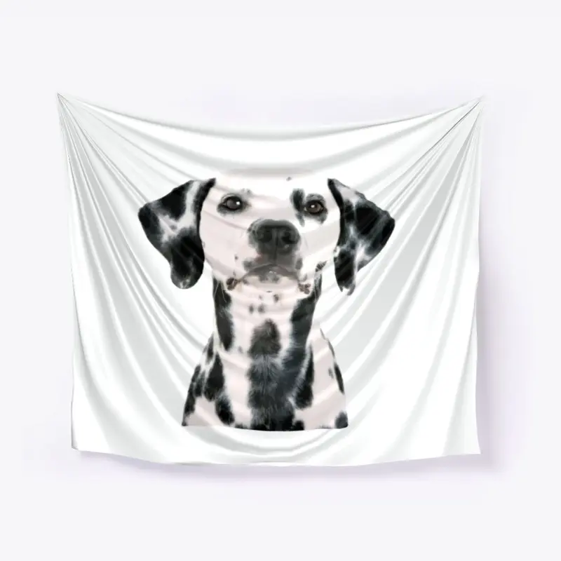 Dalmatian dog